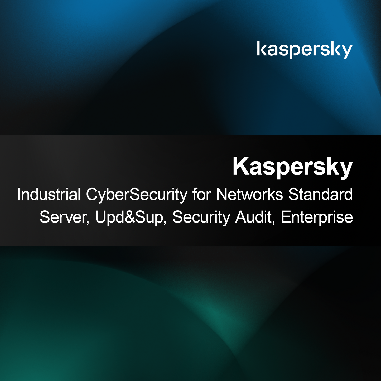 Kaspersky Industrial CyberSecurity for Networks Standard Server Upd&Sup Security Audit Enterprise