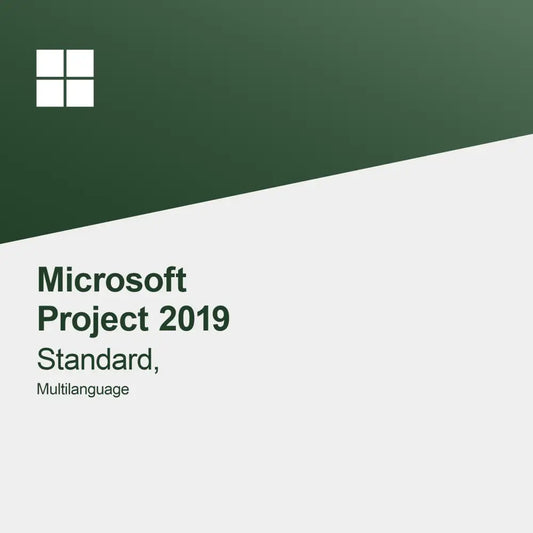 Microsoft Project 2019 Standard Multilanguage