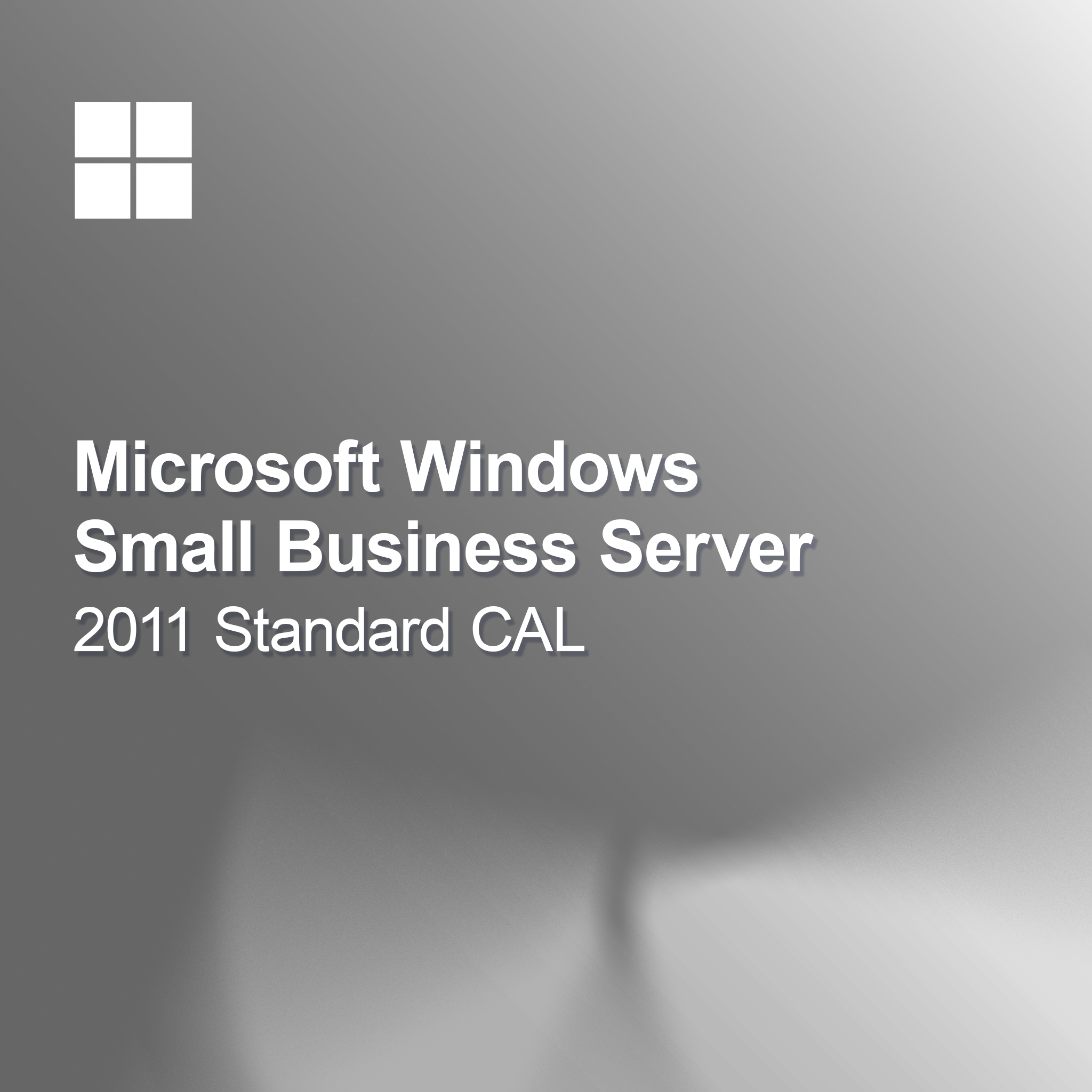 Windows Small Business Server 2011 Standard CAL